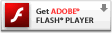 Download flash player